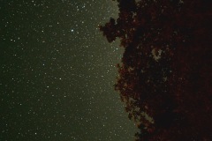 den06_002